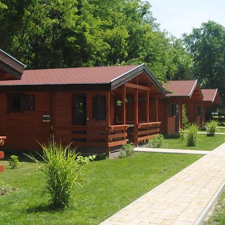 Villa Hedi Vendeghaz Dunakiliti Exteriör bild