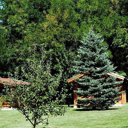 Villa Hedi Vendeghaz Dunakiliti Exteriör bild